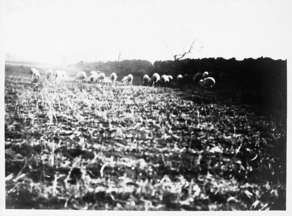 Walls of Balhae’s capital Sanggyeong (Holhanseong), taken by the Khitans in 926 — 1930s photograph