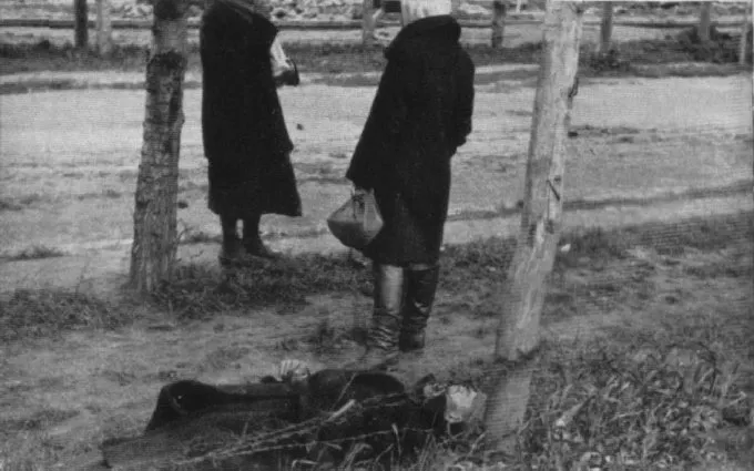 하르키우 거리에 쓰러진 굶주린 사람 곁을 지나는 시민들 — 1933년, 알렉산더 비너베르거 촬영