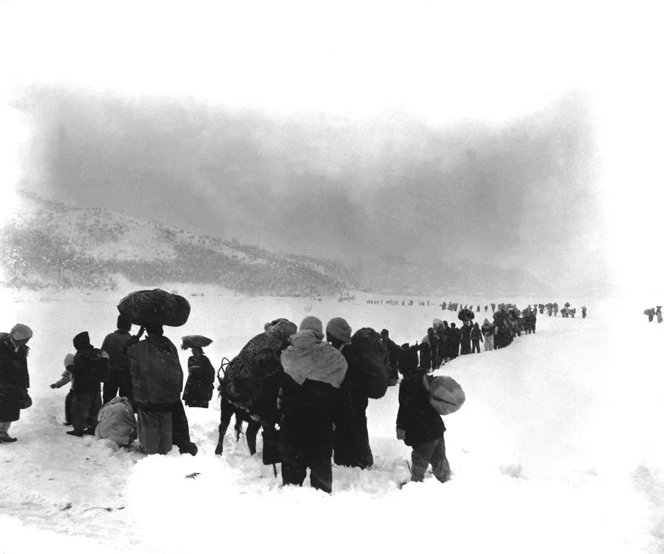 Endless file of refugees trekking south through the snow near Gangneung, 8 January 1951
