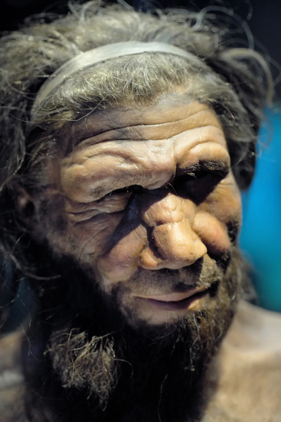 Reconstruction of a Neanderthal man, Natural History Museum, London