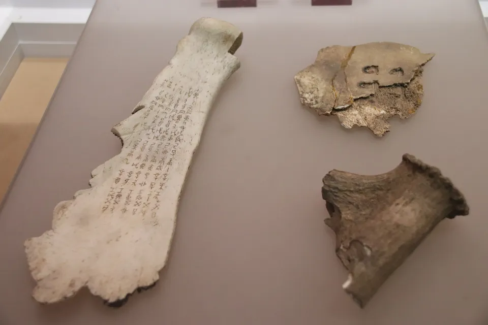 Ox scapula oracle bones from Yinxu, late Shang, inscribed with divinations and dates