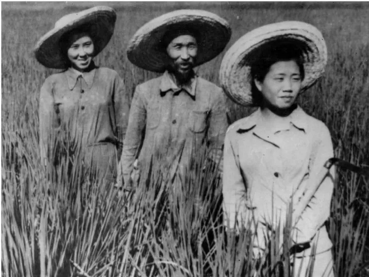 Deported Koreans among the reeds of the Chirchik district, Uzbekistan, autumn 1937 (Soviet propaganda photo)